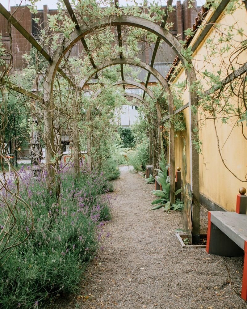 Garden path passing beneath a wooden archway, with deep planted borders filling in on both sides