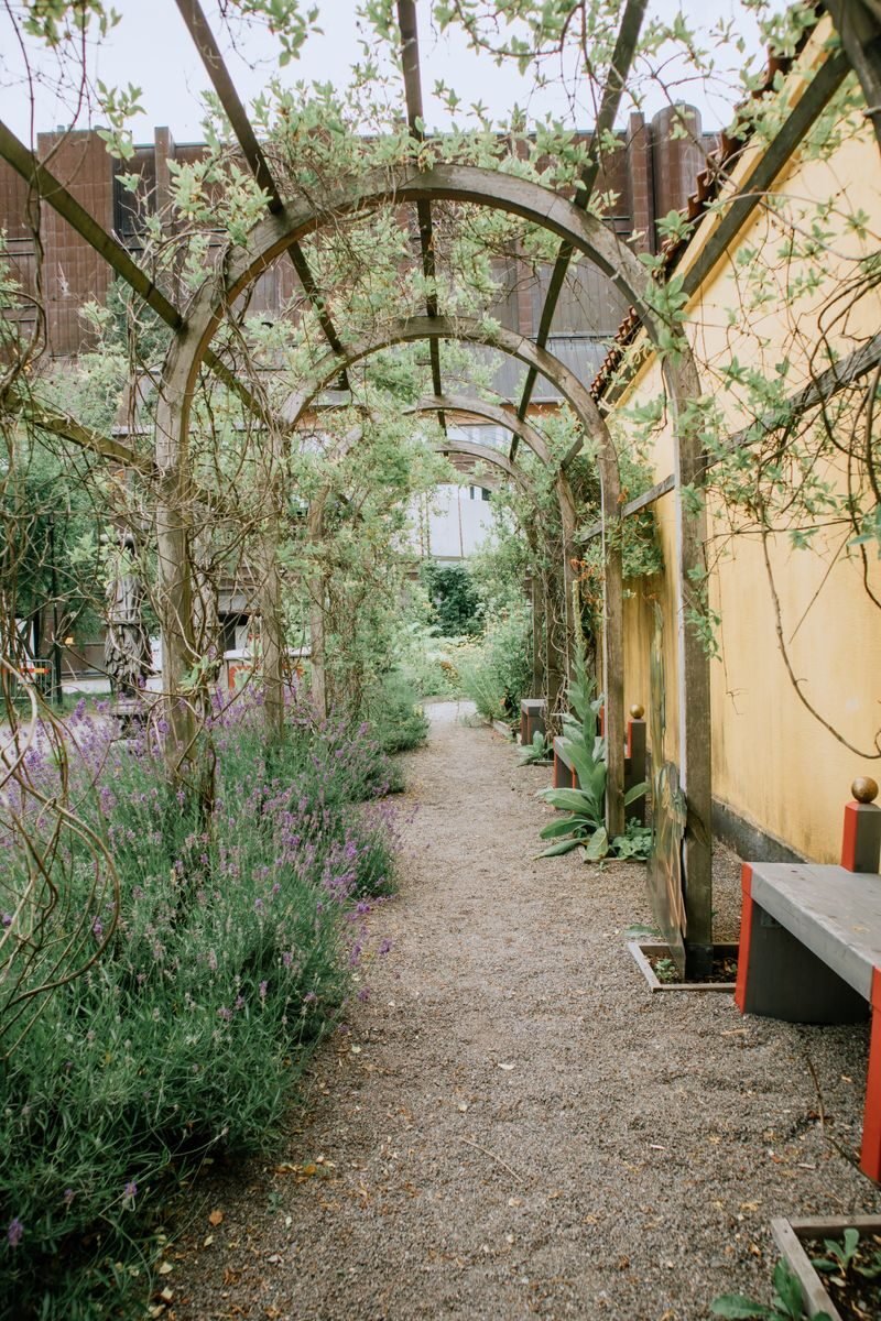 Garden path passing beneath a wooden archway, with deep planted borders filling in on both sides