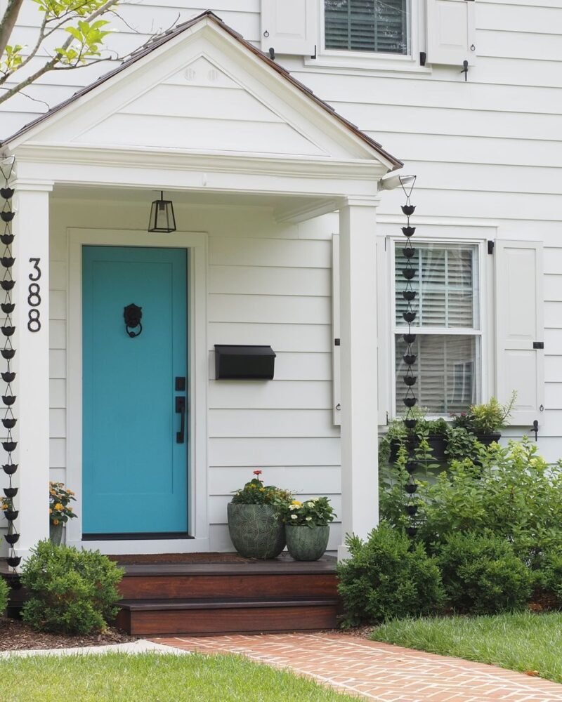 White painted house exterior with a deep blue front door framed by planting on either side of the step