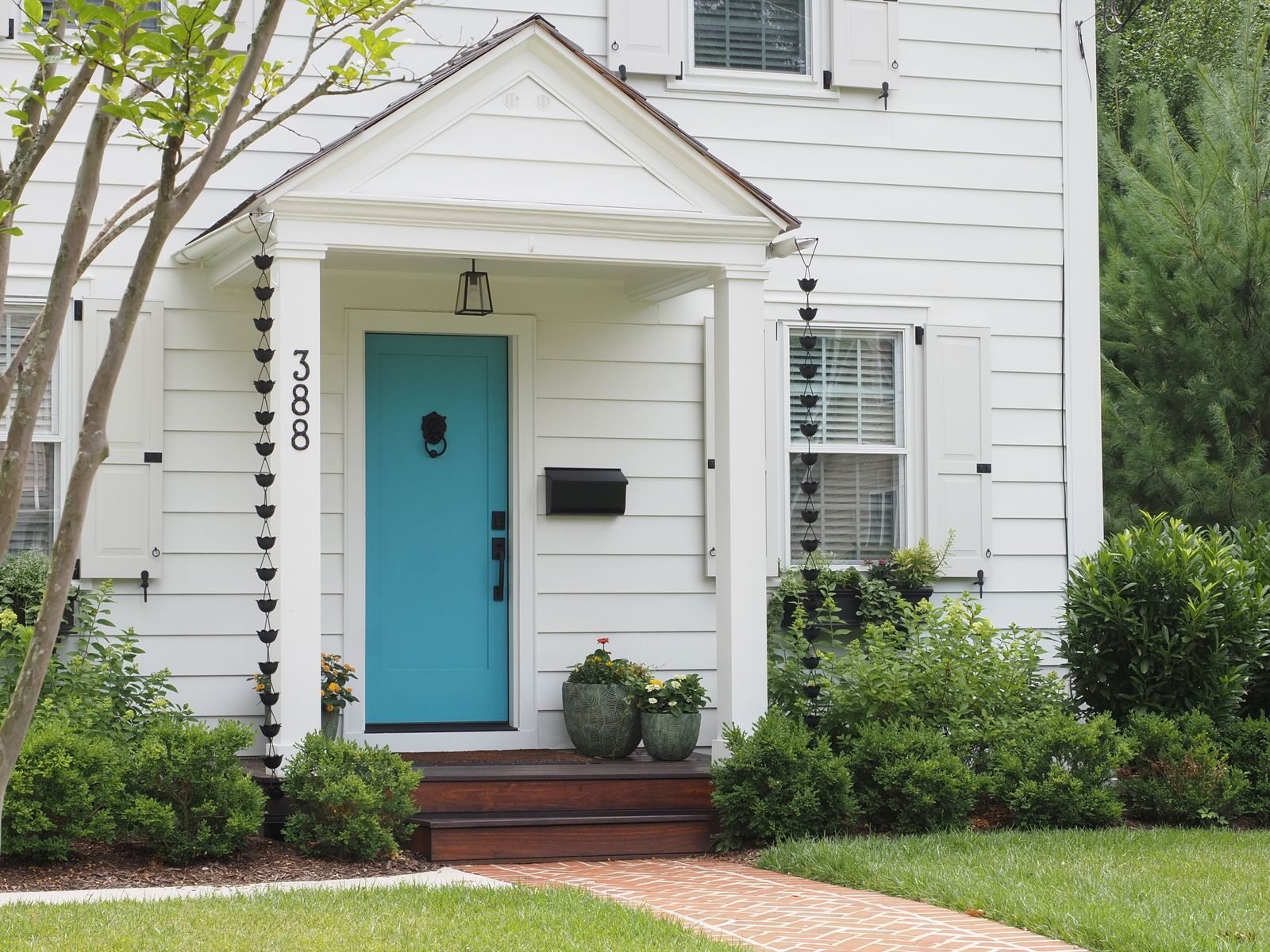 White painted house exterior with a deep blue front door framed by planting on either side of the step